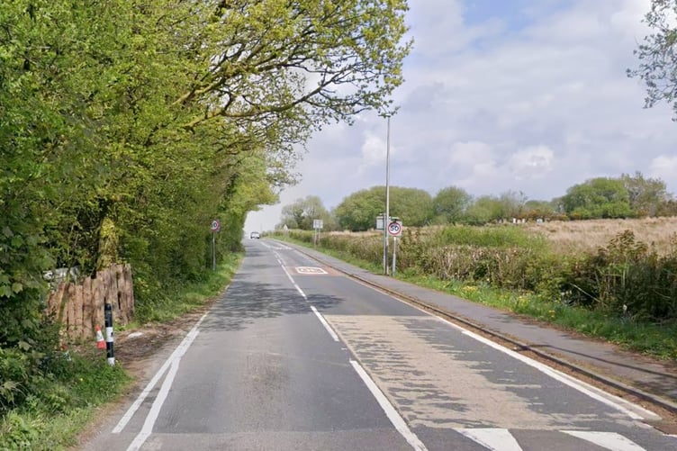 Access to the site with the cabin and rare animals is via a track off the A476, near Llannon, shown by the wooden stockade (left)