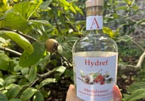 Aberglasney's new autumn gin 'Hydref' now available
