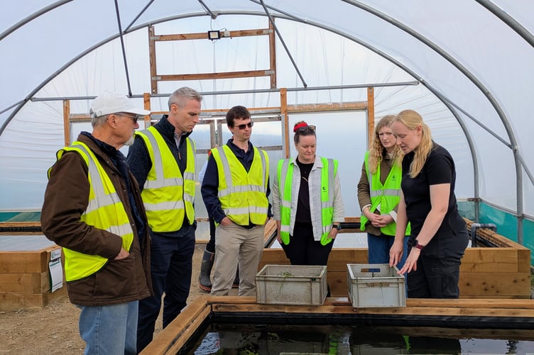Project Seagrass is celebrating a significant milestone in the development of their Seagrass Nursery facilities in West Wales following the opening of a new multi-span polytunnel.