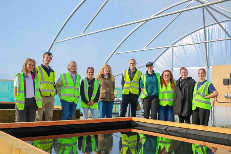 Laugharne-based Project Seagrass has opened a new multi-span polytunnel, tripling its capacity for seagrass propagation