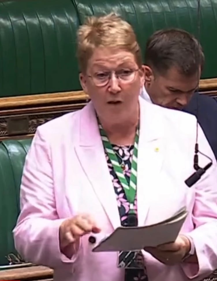 Caerfyrddin MP Ann Davies in the House of Commons.