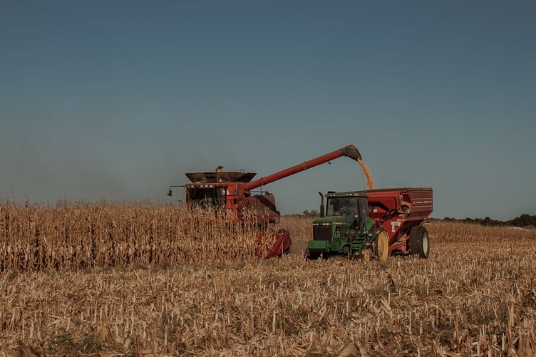 Combine harvester transferring corn to a cart in a vast field under clear blue sky