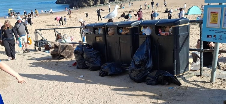Tenby litter