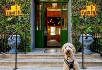Tenby Imperial Hotel's £1,500 Community Fund finalists announced