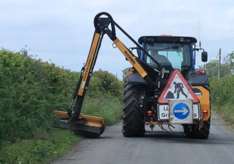 Carmarthenshire County Council will consider the cost of extra grass cuts