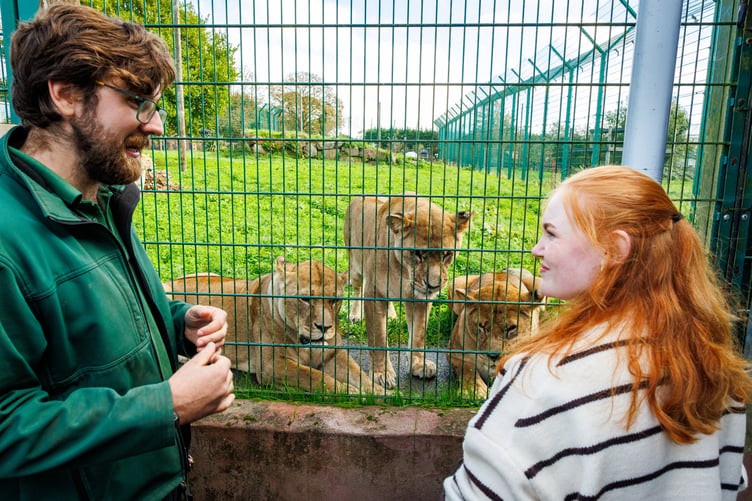 Katie was also able to join Zookeeper Dan on a special behind the scenes tour of the lion house at Folly Farm
