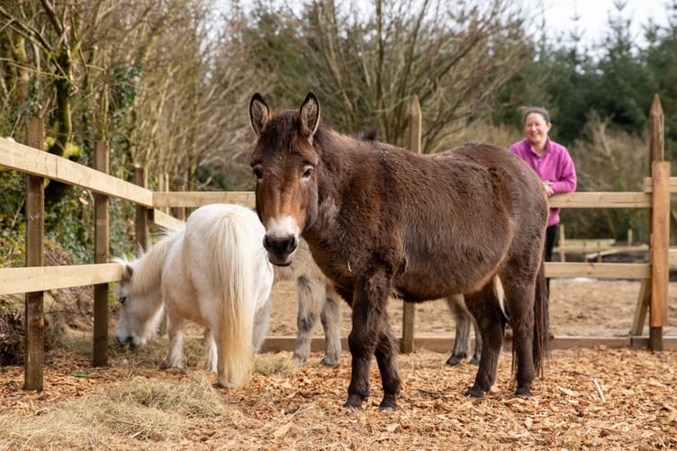 Skanda Vale charity and animal sanctuary in Carmarthenshire is among seven west Wales projects set to benefit from the latest round of funding through Ynni Cymru.