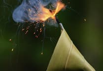 Carmarthenshire Trading Standards issues warning about illegally sold fireworks