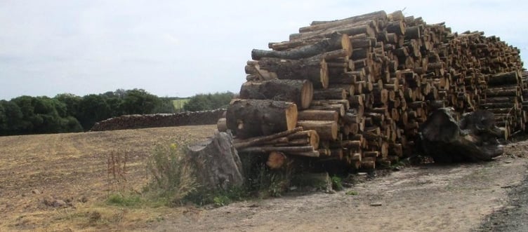 PBE Fuels Ltd, based in Canaston Bridge, has been given the green light to expand its biomass operation across Pembrokeshire and beyond.