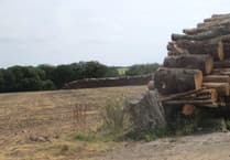 PBE Fuels to expand biomass operation in Pembrokeshire