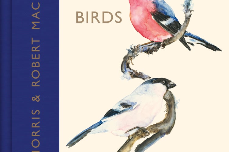 The Book Of Birds