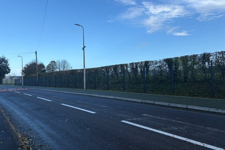 The 38 council homes would be built behind this hedge, off Llansteffan Road, Johnstown (pic Ian Lewis and free for use for wire partners)