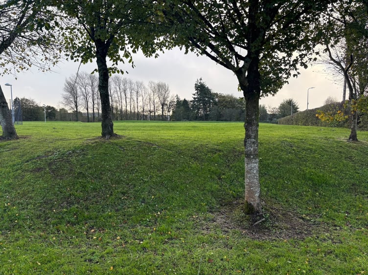 Part of the raised area of land by Carmarthen Leisure Centre, Johnstown, where 38 council homes are planned (pic Ian Lewis and free for use for wire partners