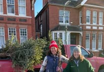 Tŷ Hafan needs you and your van for Christmas tree recycling