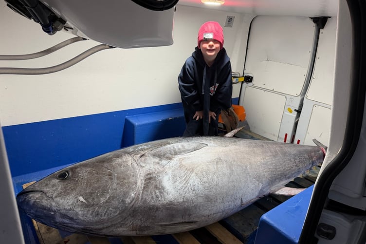 What a catch! Welsh-caught bluefin tuna sold to the public for the first time.