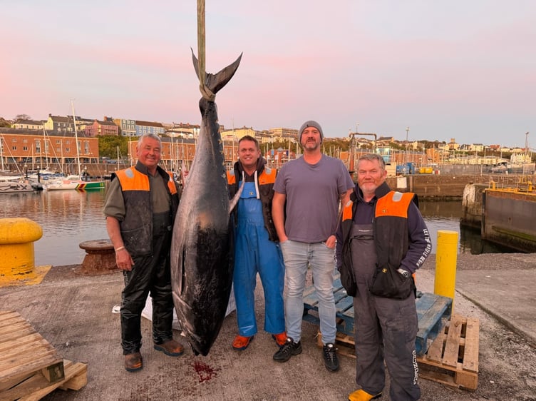 The first five bluefin tuna have been landed at Milford Haven, marking a milestone for the Welsh fishing industry