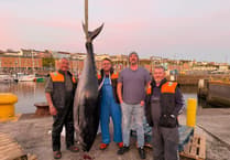 What a catch! Pembrokeshire-caught bluefin tuna sold to the public for the first time