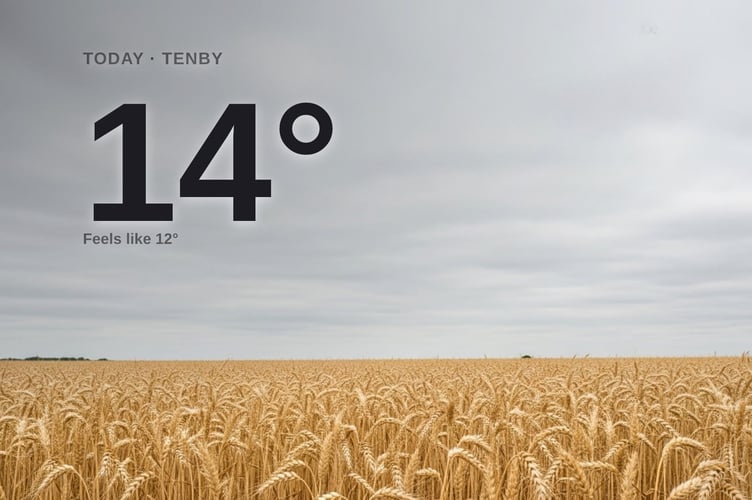 Tenby weather: cloudy Tuesday with rain expected and a high of around 13°C