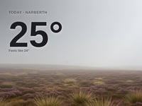 Narberth: foggy day, high of 25°C