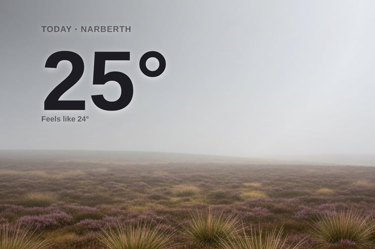 Narberth weather: foggy Wednesday with little chance of rain and a high of 25°C