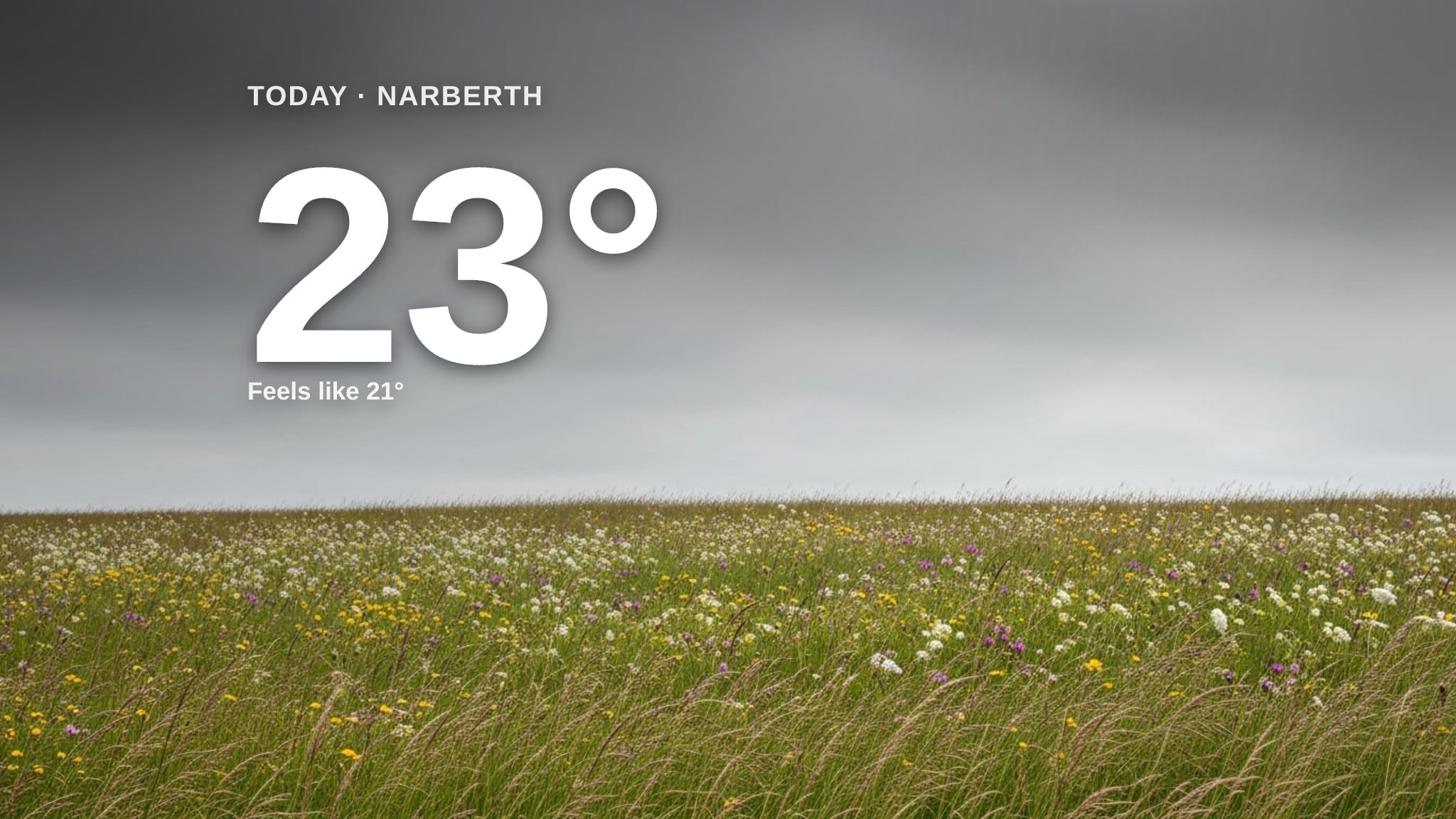 Narberth weather: overcast Tuesday with little chance of rain and a high of 23°C