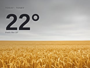 Tenby: overcast day, high of 22°C