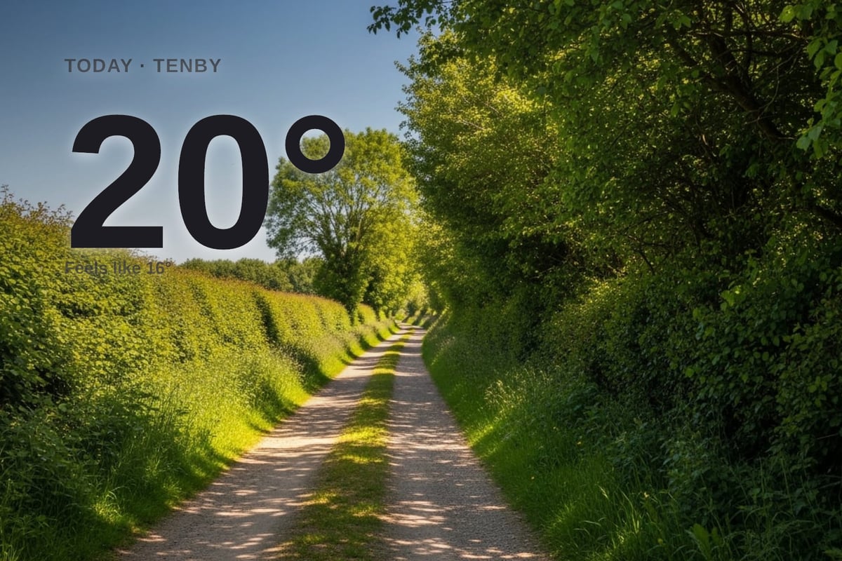 Tenby weather: sunny day with minimal rain and a high of 20°C