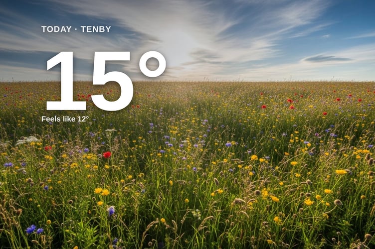 Tenby weather: partly cloudy Thursday with little chance of rain and a high of 14°C